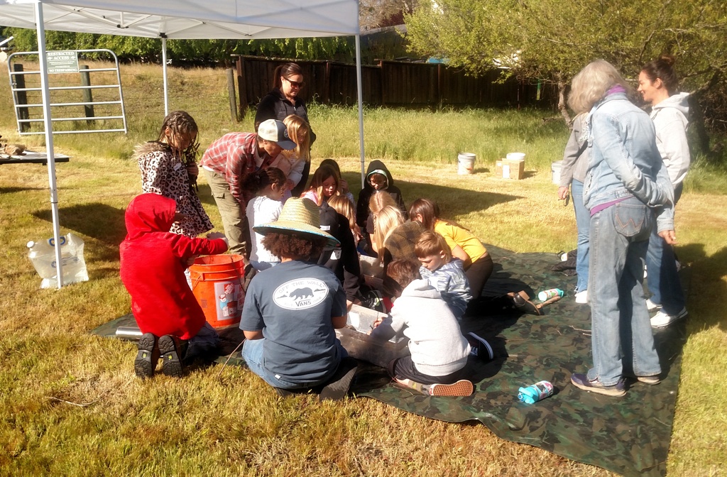 Kids making Beaver Dams!